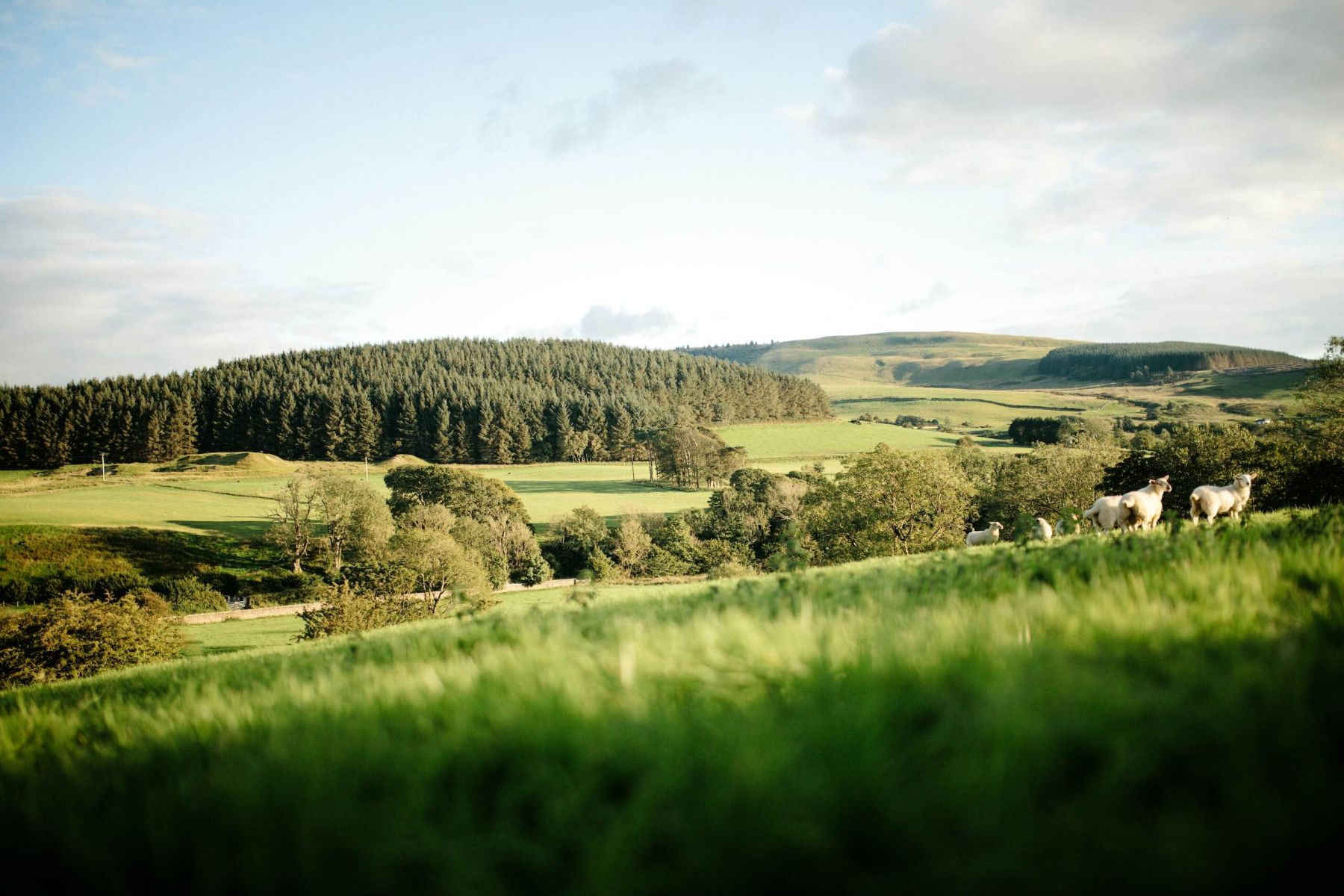 Oxfordshire landscape representing businesses across the county
