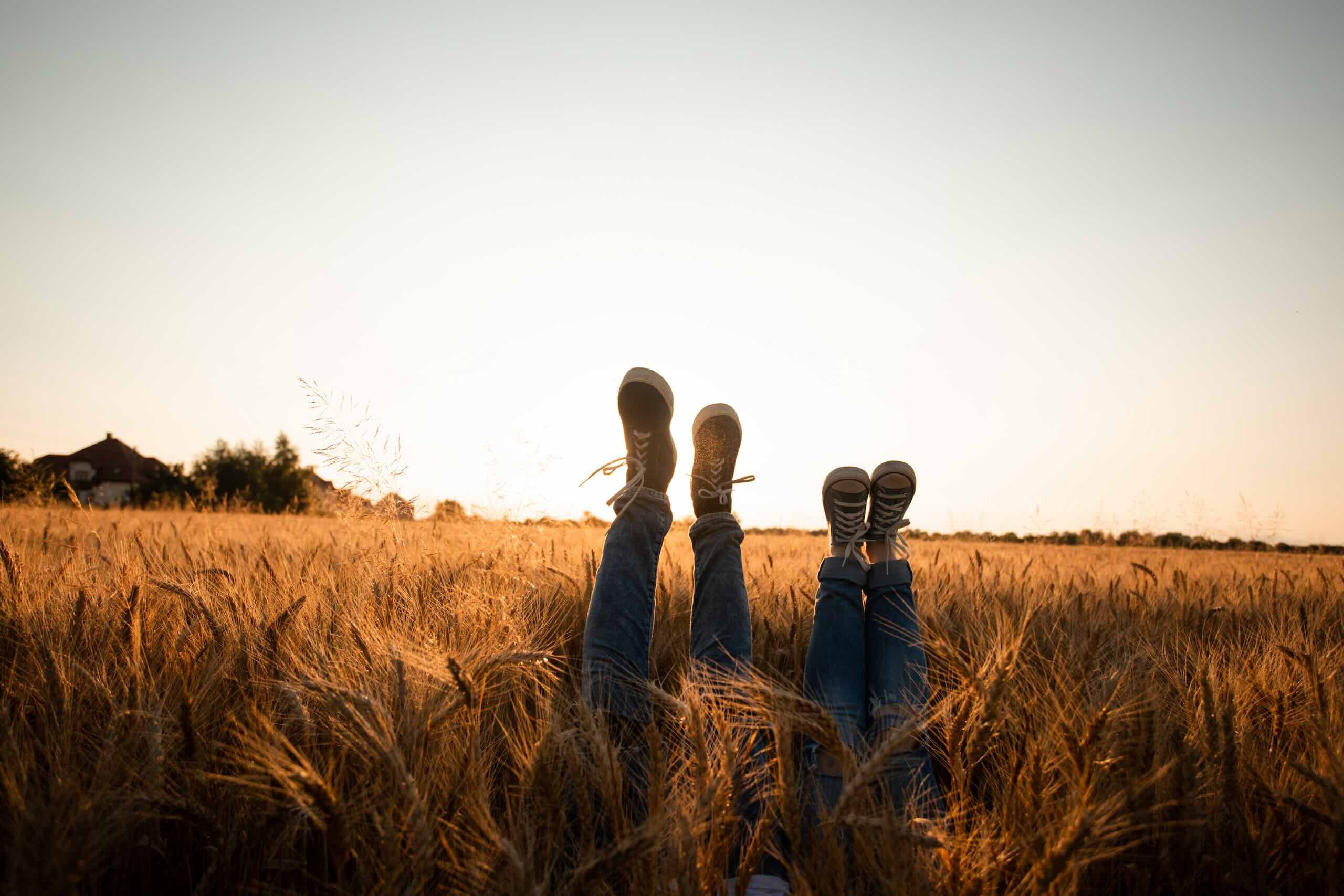 Person standing in a field with legs visible above the crops, used to represent SEO services for small businesses improving visibility